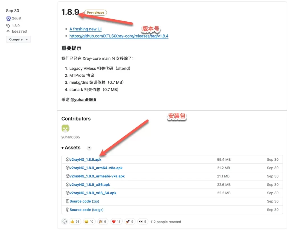 v2rayng-release-1024x812